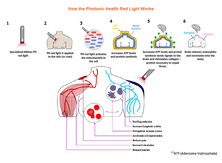 Red Light Therapy Infographic