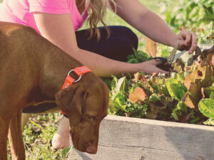 Mollie in the garden with her dog